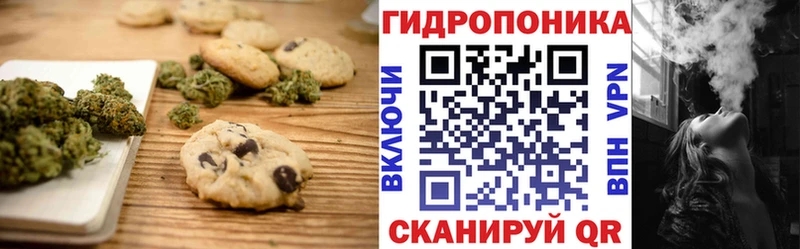 Canna-Cookies конопля что такое Архангельск