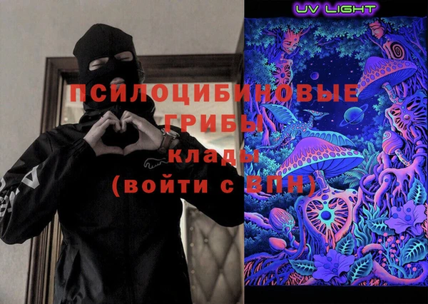 прущие грибы Алексеевка